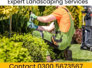 Landscaping Services in Islamabad